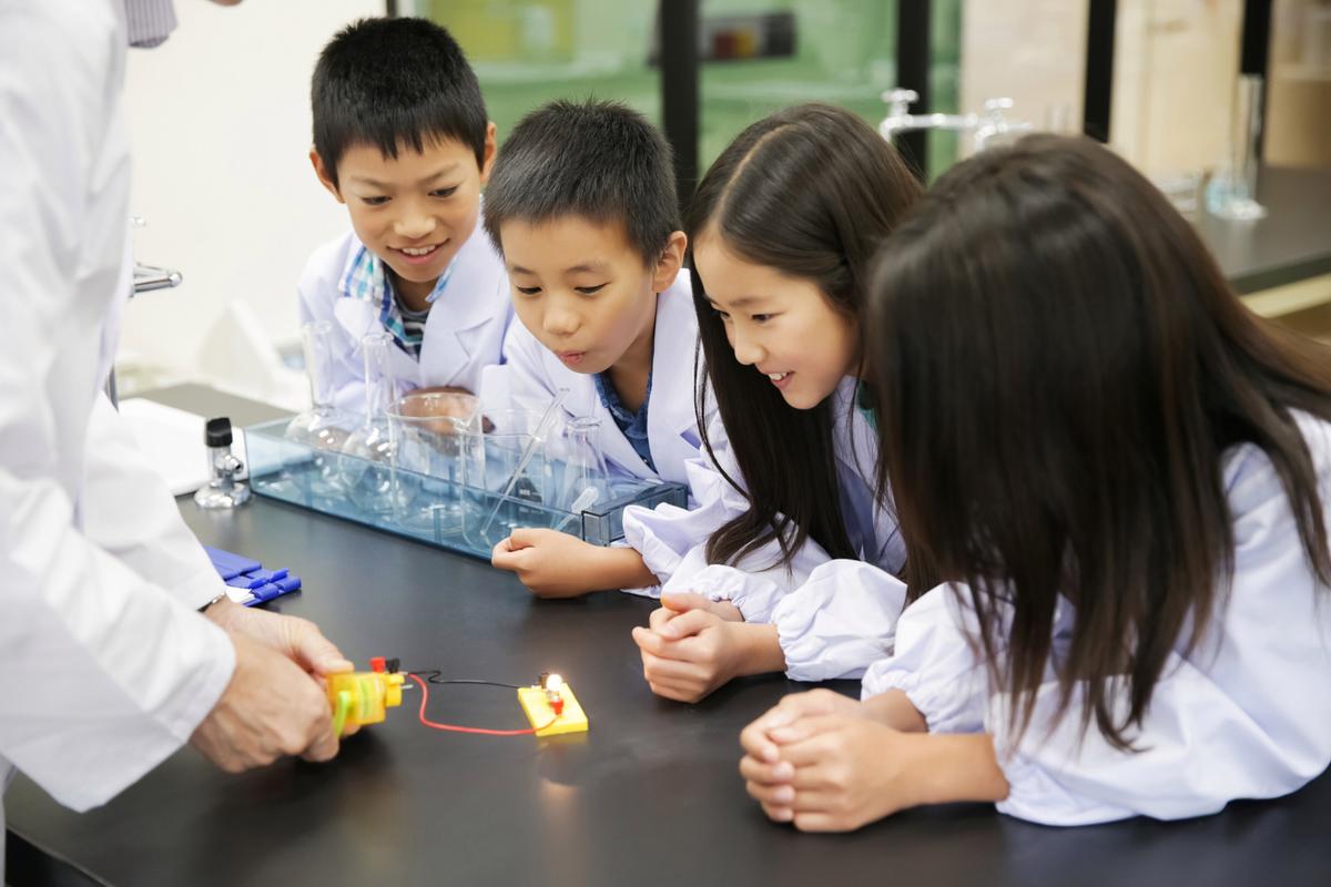 幼儿在科学区专注探索实验