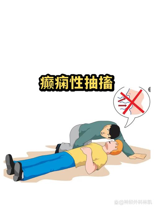 宠物癫痫发作正确安置场景图