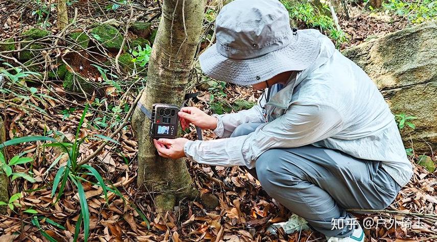 藏在野外的魔法盒：当下前沿的生物多样性保护技术