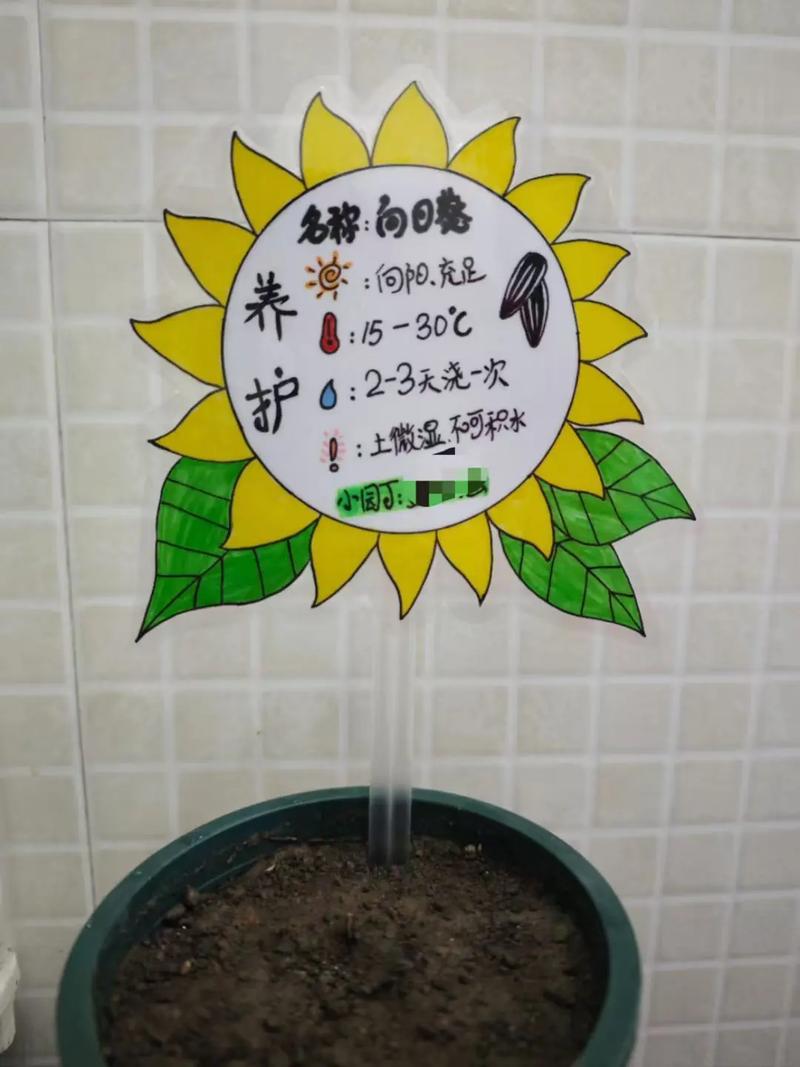 日常怎么种下“荣誉”的种子?——来点直接可用的