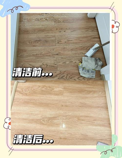 养宠家庭客厅地面消毒错误案例图