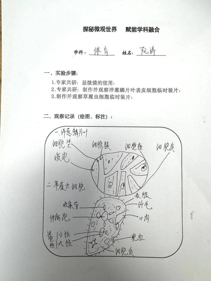原来材料科学基础,练的是孩子的“观察肌”