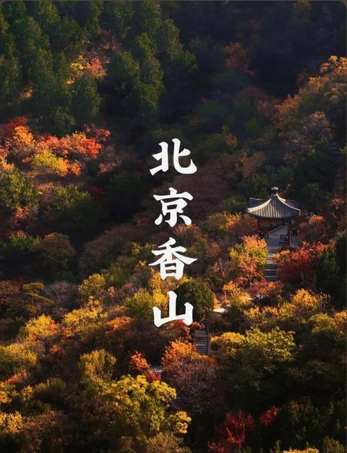 三、香山公园:被低估的皇家红叶密码