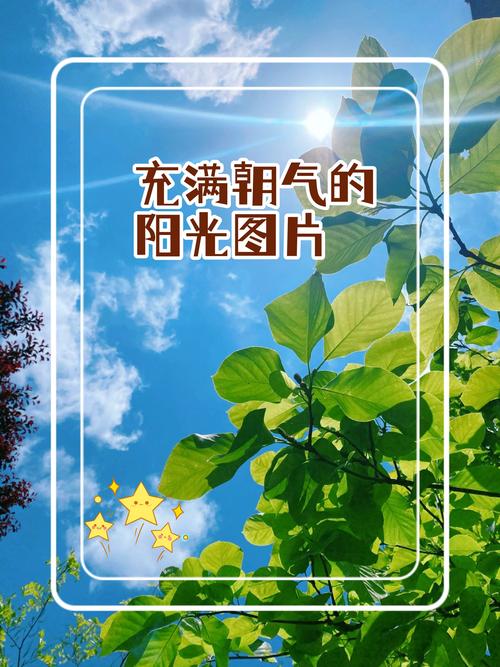 免费的阳光，用用不好吗