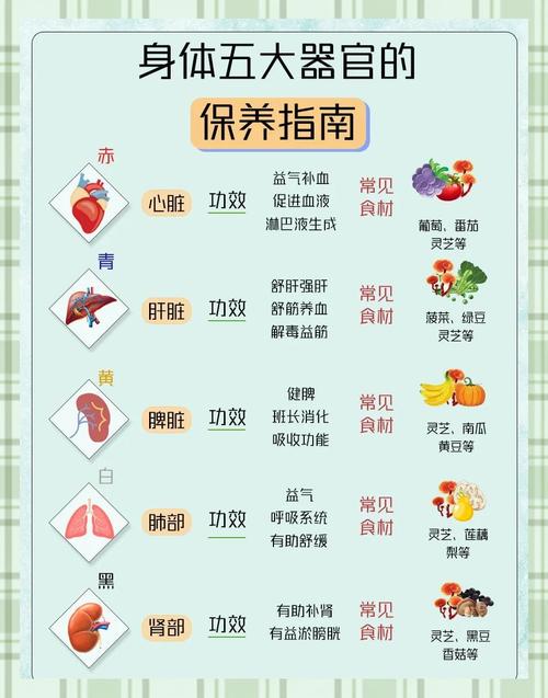 保养与寿命:别等坏了才想招