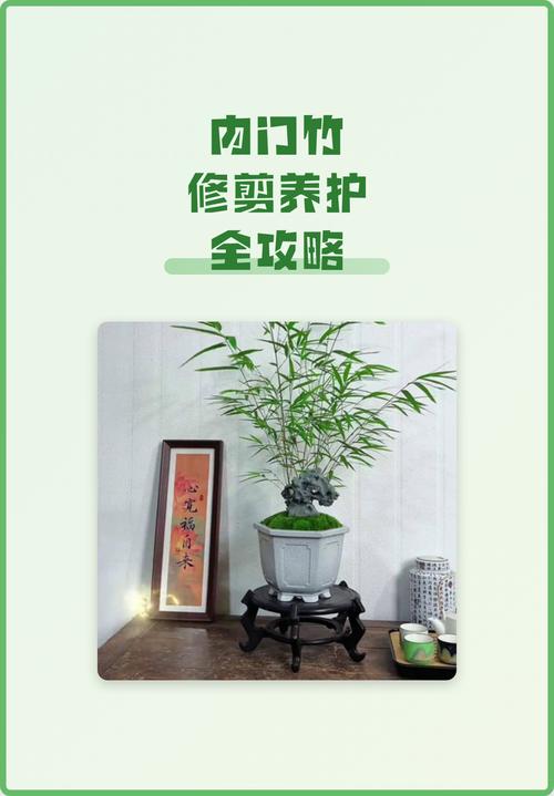 定期给知识剪枝,比一直瞎攒重要太多