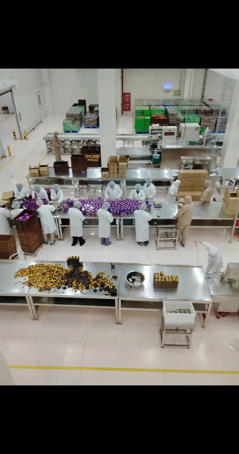 小型精磨机制作巧克力现场实景