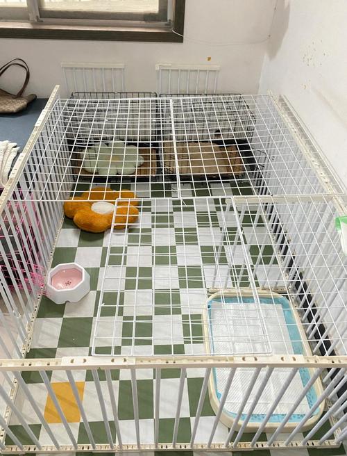 幼犬笼养安全区布置实拍