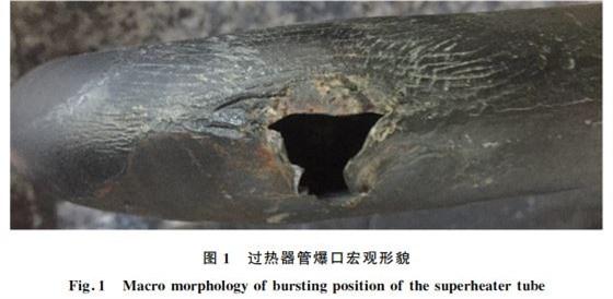 过热器爆管蠕变裂纹微观形貌图