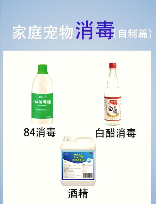 家庭养宠日常消毒正确操作步骤图