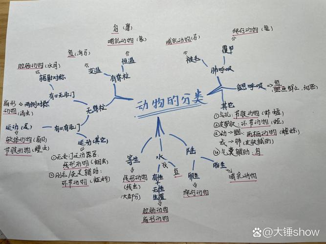 动物分类板书思维导图设计