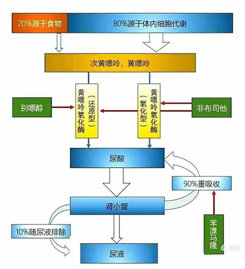 宠物尿液尿酸成分分解原理示意图