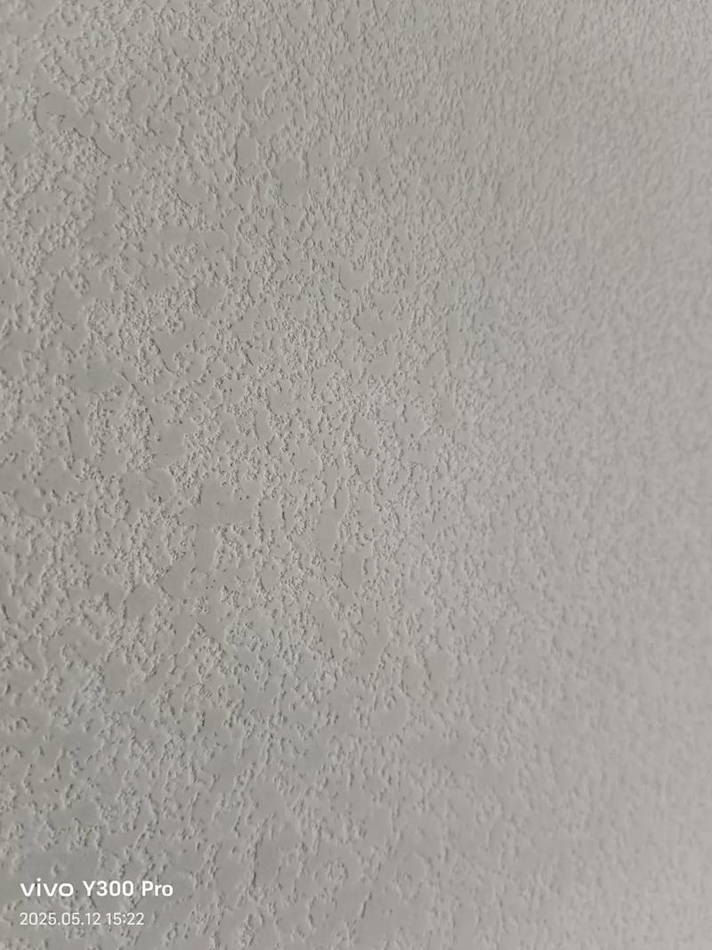 硅藻泥墙面弹涂纹理效果