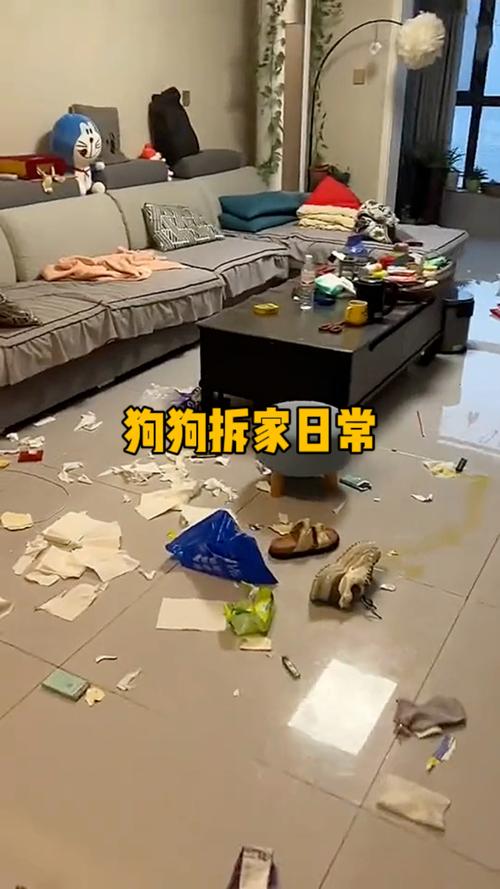 很多拆家习惯，其实是主人亲手养出来的