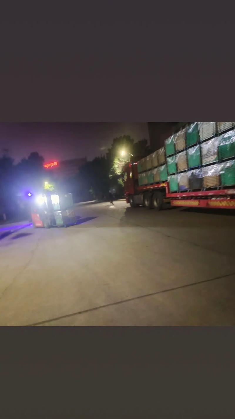 黄沙水产市场凌晨卸货工人