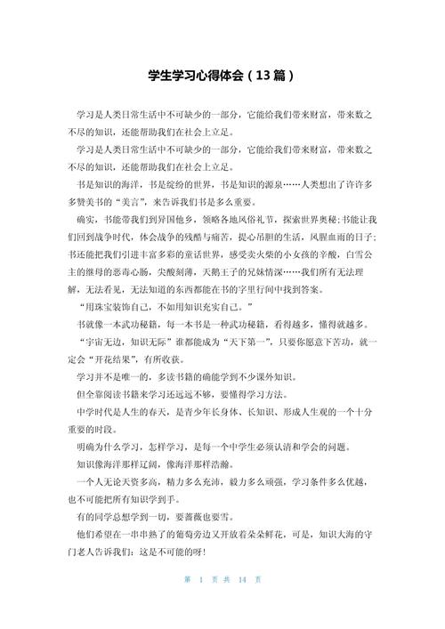 新高考高中核心素养学习规划手写表