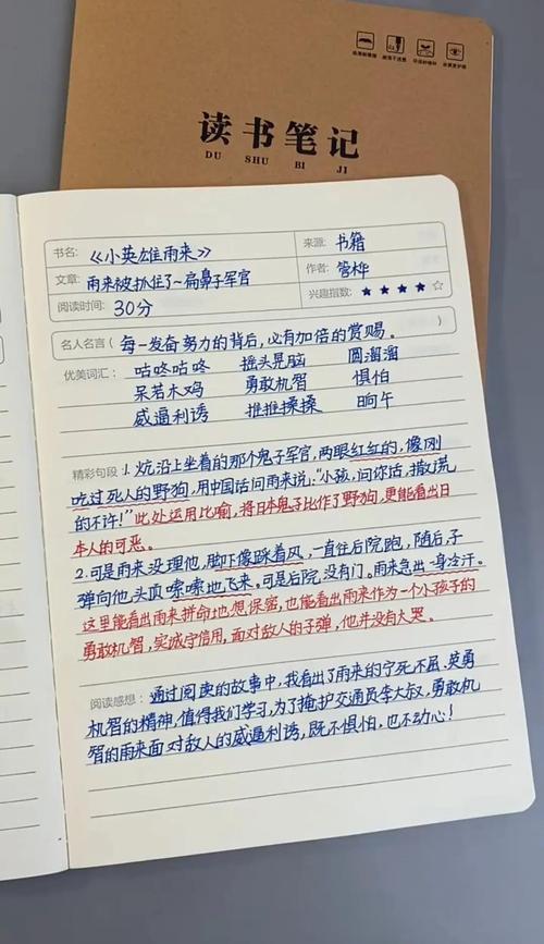 做好阅读摘抄的三个核心要点
