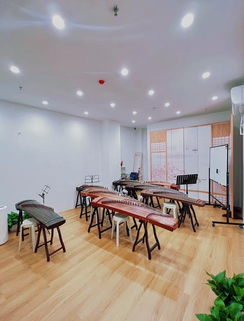 成人古筝兴趣班课堂实景
