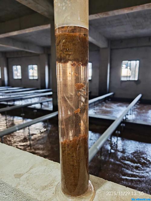机械加工车间集水池底部沉积工业污泥实拍