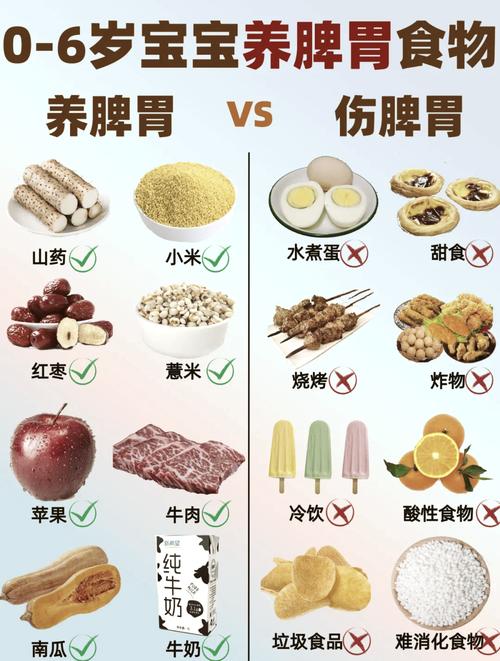 婴儿慢消化食物分析表
