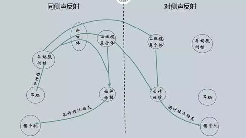 开放式办公区声场反射路径测算示意图
