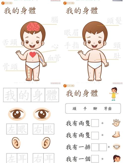 儿童身体边界认知手绘示意图