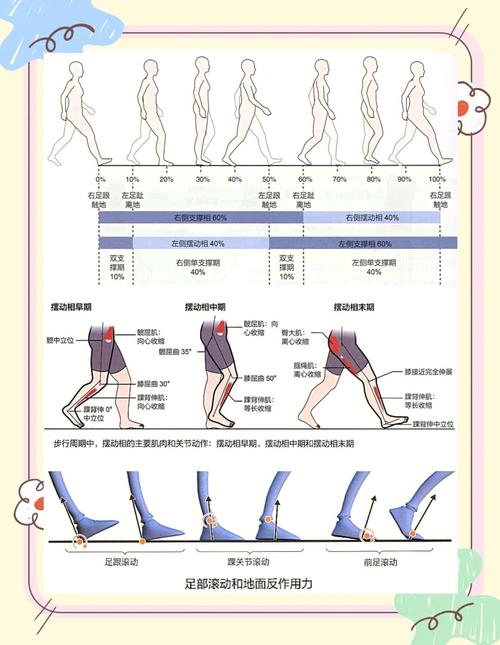 正确走路姿势侧面示意图,显示头颈肩髋对位,脚跟滚动到脚尖
