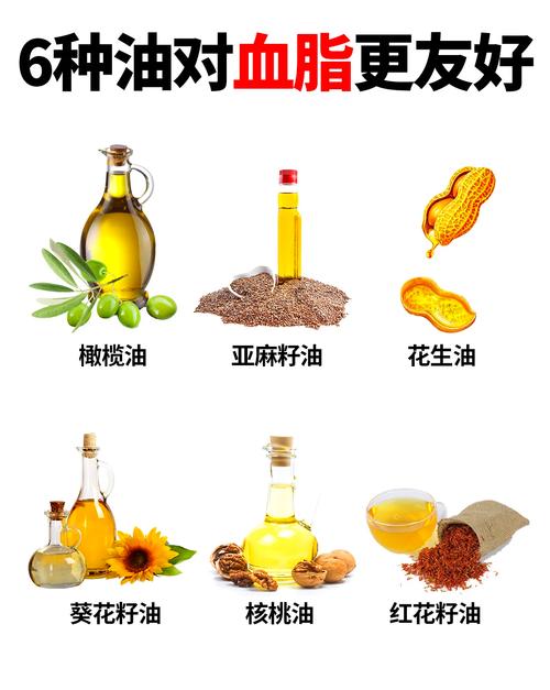 适合高血脂人群的常见健康油脂实物图