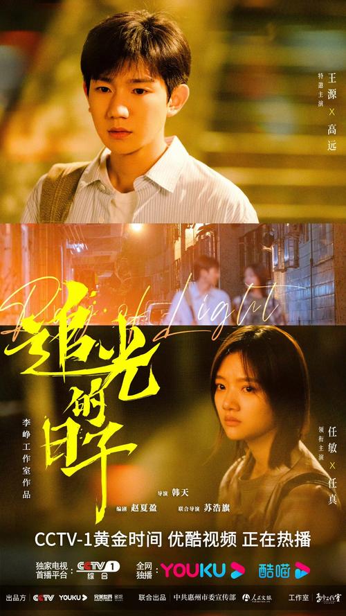 别为了追“越光越好”的数字交智商税