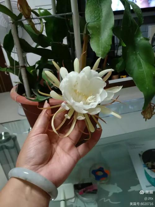 签字前花三千块,就能拆掉这个雷