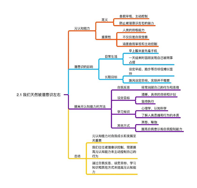 高中生用思维导图进行元认知计划