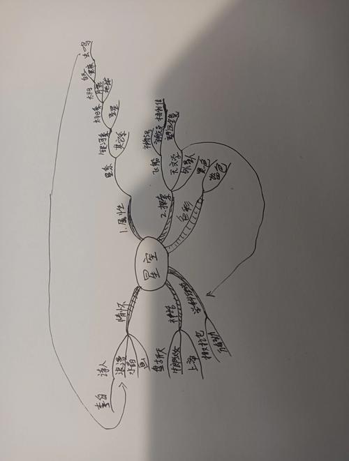 个人兴趣爱好与技能评估思维导图手绘风格