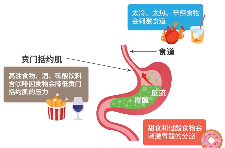 胃药中和胃酸原理示意图