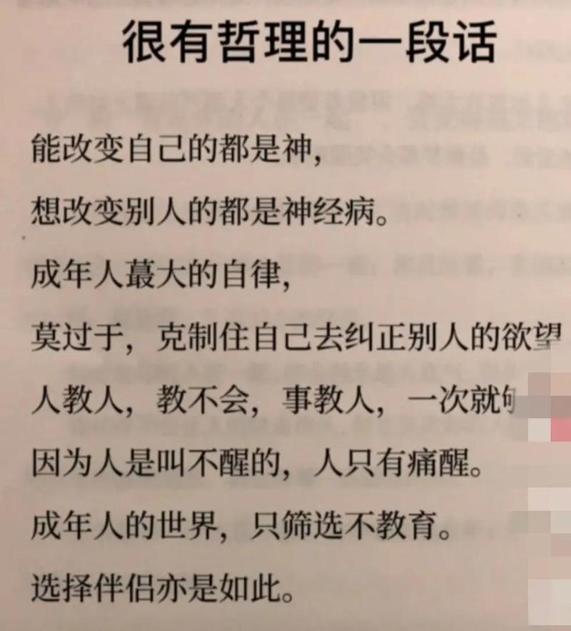 成年人的积木:不是幼稚,是刚需