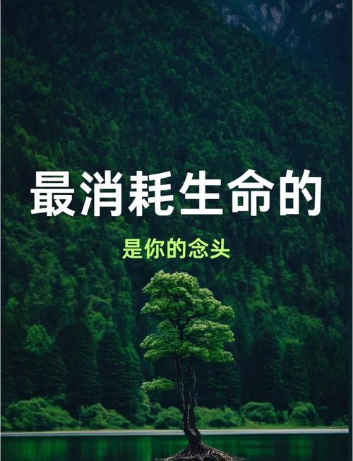 意象这东西,看不见摸不着,但能救命