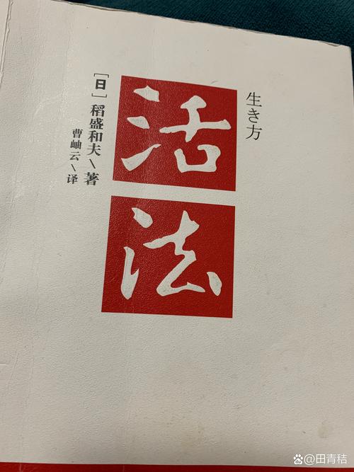 新街老弄的两种活法