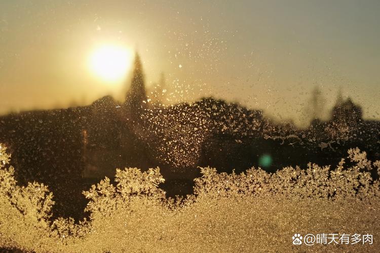 霜花与孤独：为什么我们总在窗上找春天？