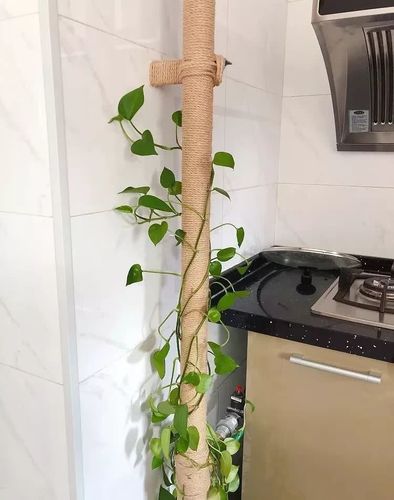旧房墙面缺口仿真花遮丑装饰图