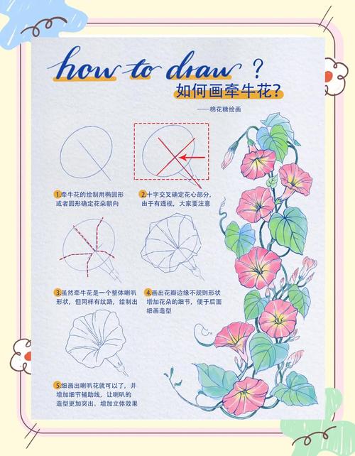 小学生语文作业纸手绘牵牛花雌蕊示意图