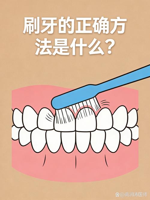 日常刷牙45度角持刷手法实拍图
