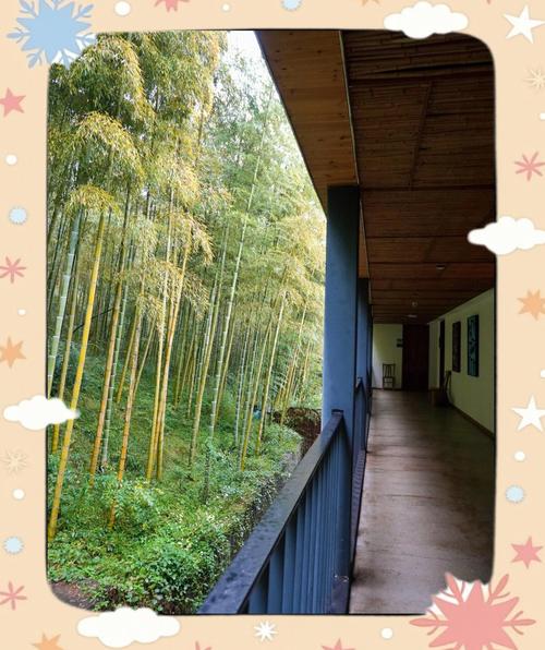 第三幕：莫干山深处，竹林里的私语