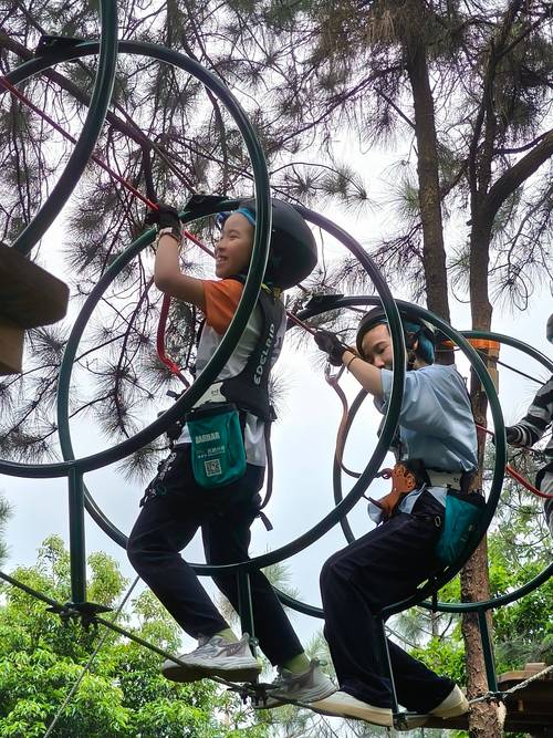 学生在户外森林学校进行团队协作攀爬活动