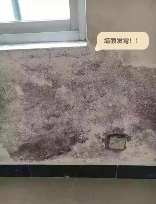 二手房中介隐瞒房屋漏水发霉实景图