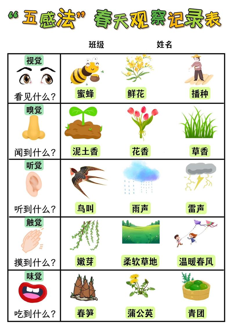 看图写话五感观察法示意图