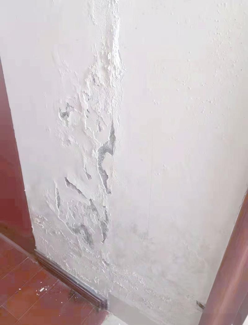 未干透就刷面漆的装修墙面发霉掉皮图