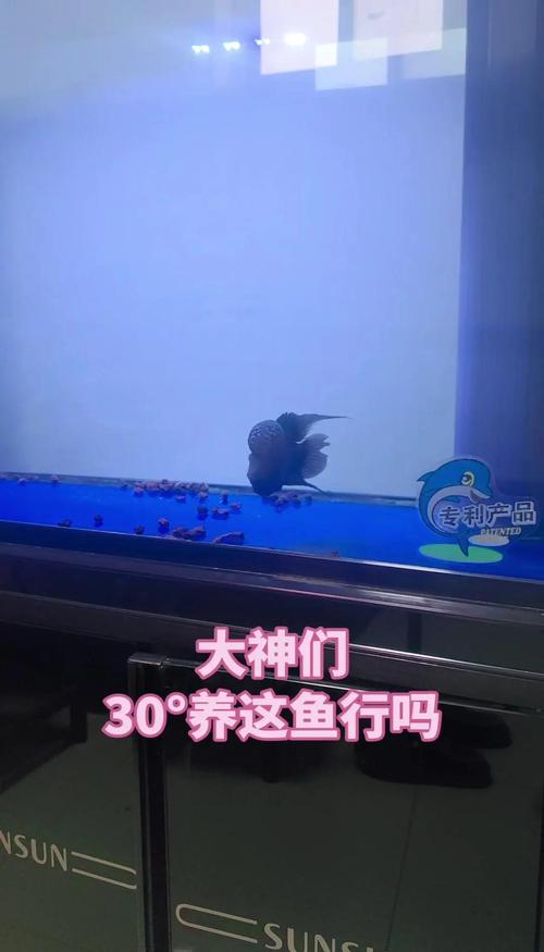 坑,我替你踩过了