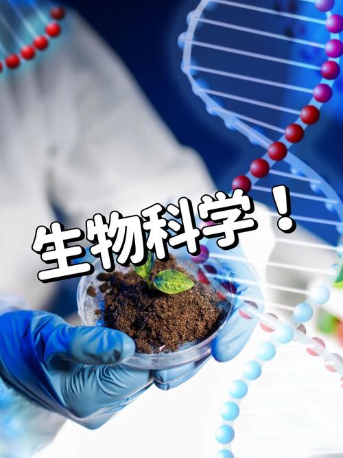 生物发酵酵母生产天然甜味剂实验室场景