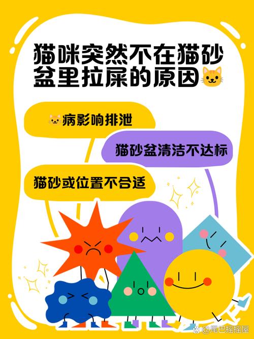 老年猫咪关节炎无法进入高边猫砂盆示意图