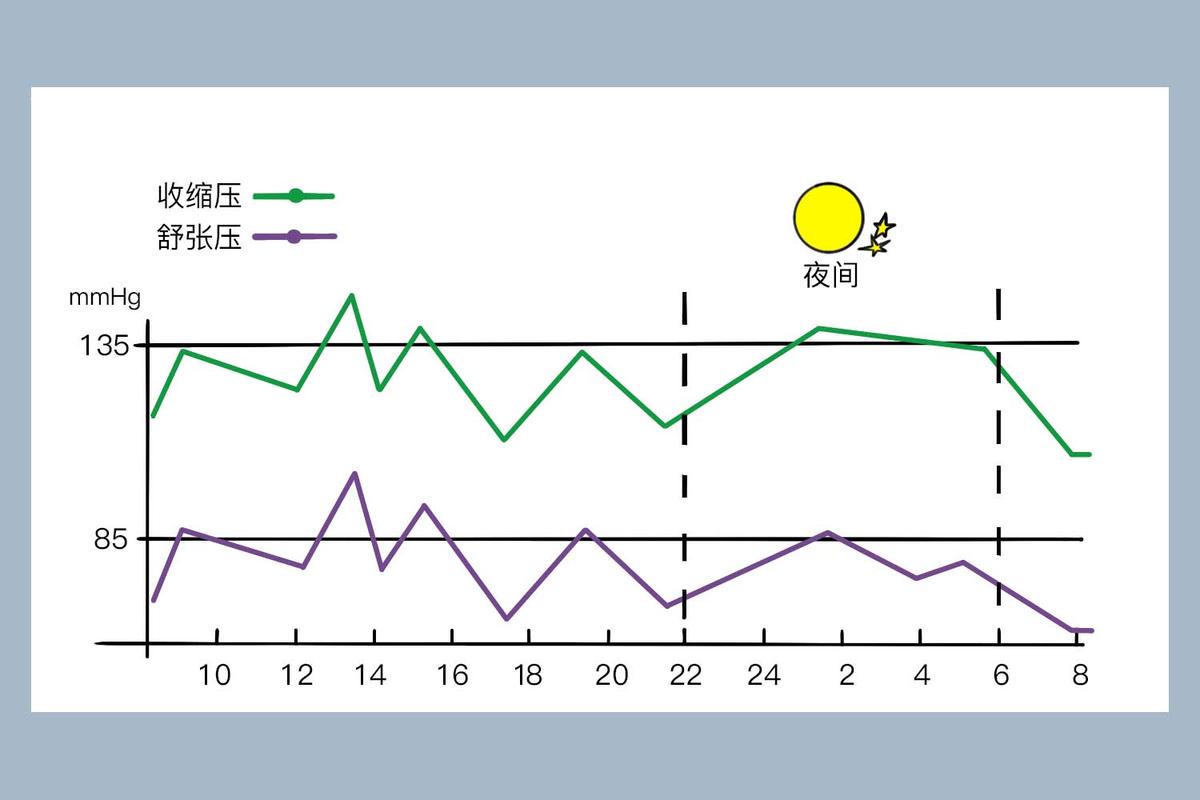 健康成年人昼夜精力波动曲线图