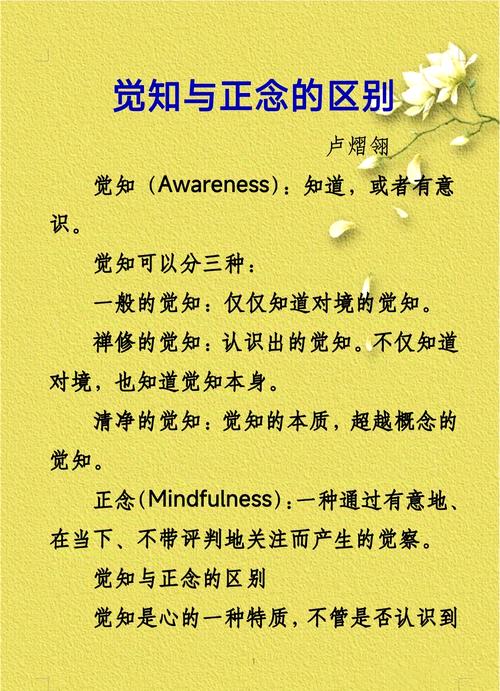 大脑自动导航与正念觉察对比图
